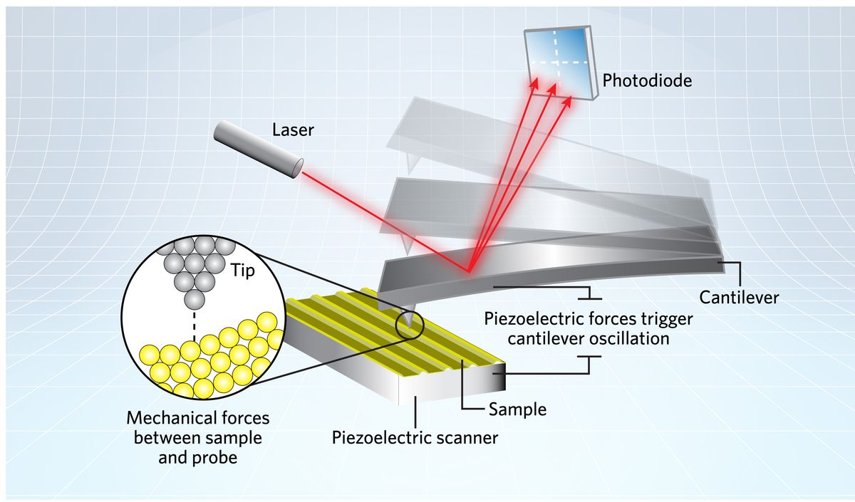 Schematic of an AFM cantilever moving along the surface of a sample, refracting light from a laser onto a photodiode. Schematic of an AFM cantilever moving along the surface of a sample, refracting light from a laser onto a photodiode.