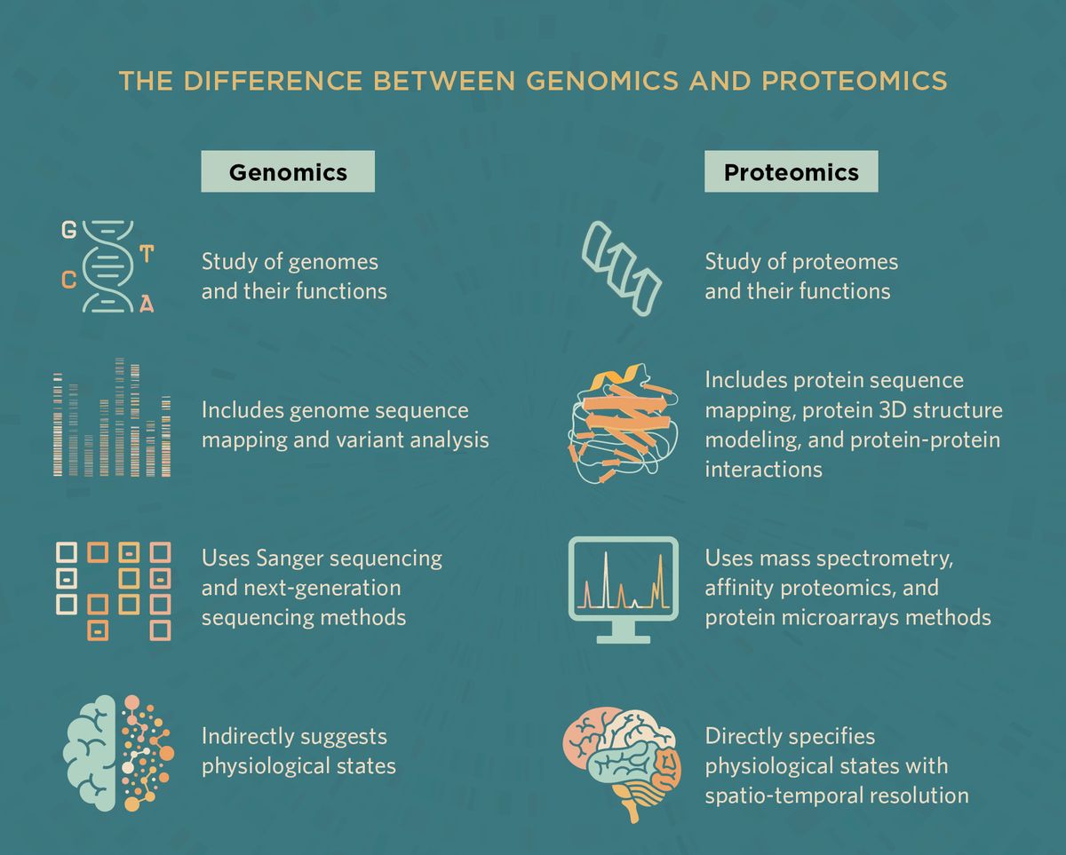 <em >The difference between genomics and proteomics</em> <em >The difference between genomics and proteomics</em>