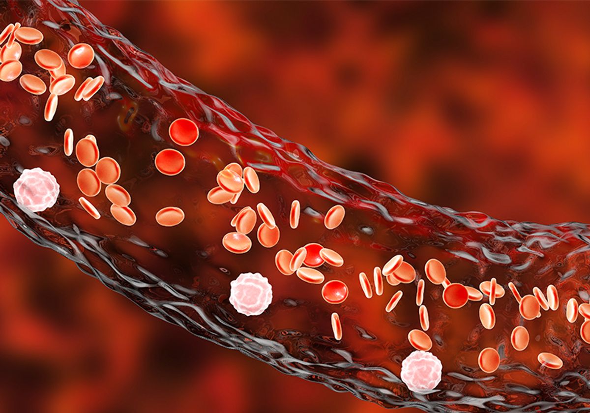 Blood vessel with flowing red blood cells and white immune cells Blood vessel with flowing red blood cells and white immune cells