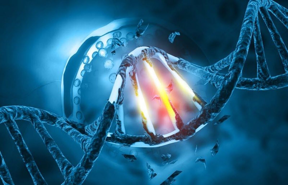a DNA double helix with damaged sections a DNA double helix with damaged sections