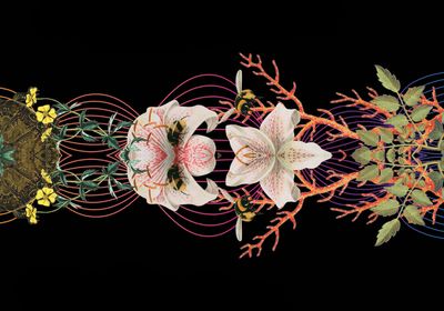 Modified from the cover of <em >The Sounds of Life</em>
