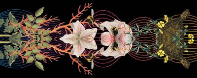 Modified from the cover of <em >The Sounds of Life</em>