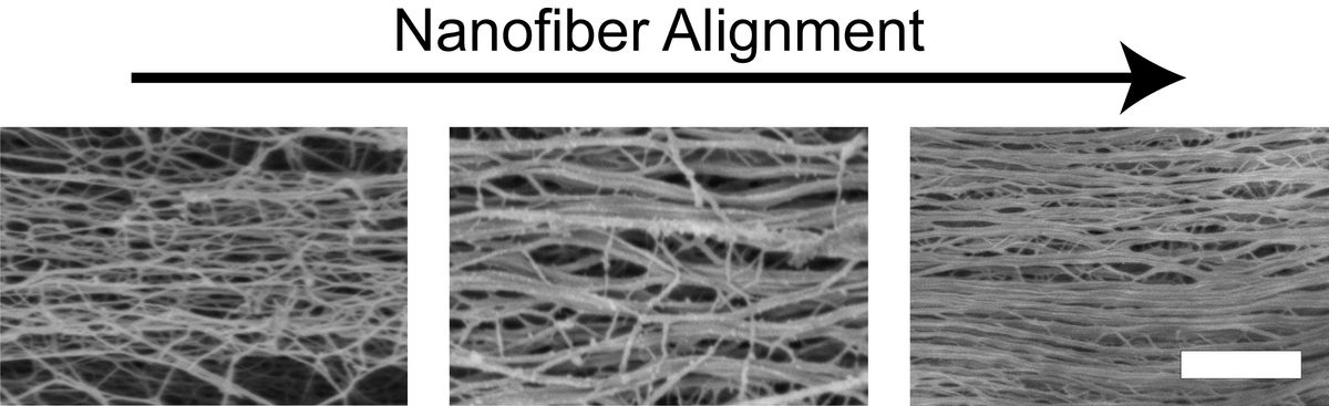 Three black-and-white images of fibers becoming more aligned from left to right. Three black-and-white images of fibers becoming more aligned from left to right.