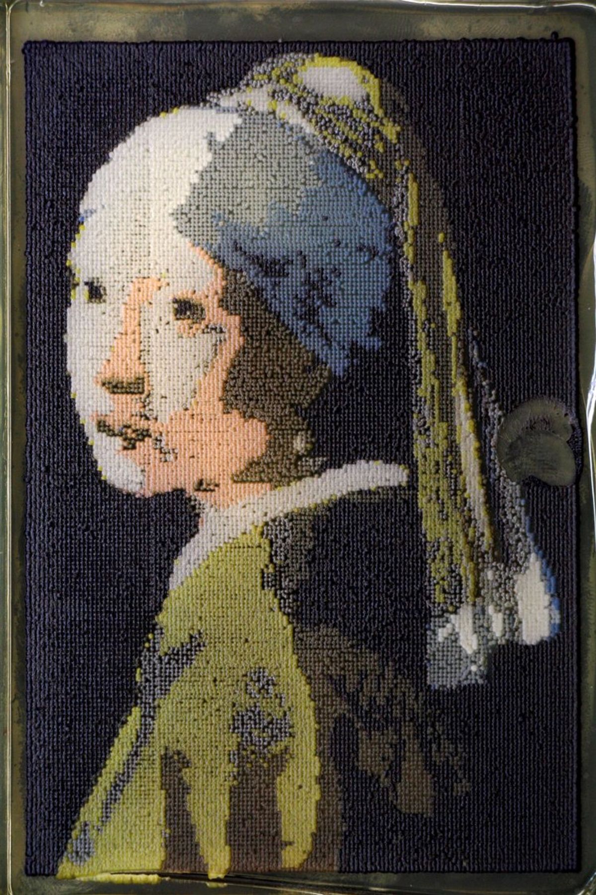 Yeast art recreation of Johannes Vermeer’s The Girl with a Pearl Earring. Yeast art recreation of Johannes Vermeer’s The Girl with a Pearl Earring.