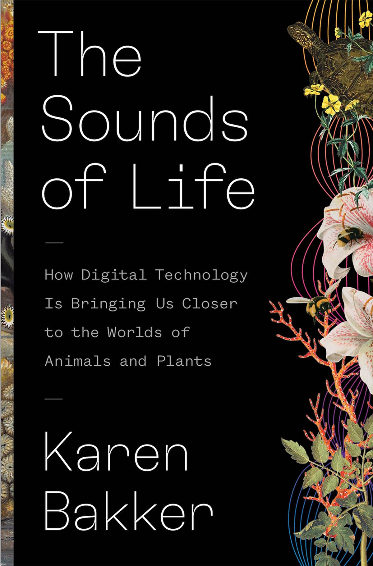 Cover of <em>The Sounds of Life</em> Cover of <em>The Sounds of Life</em>