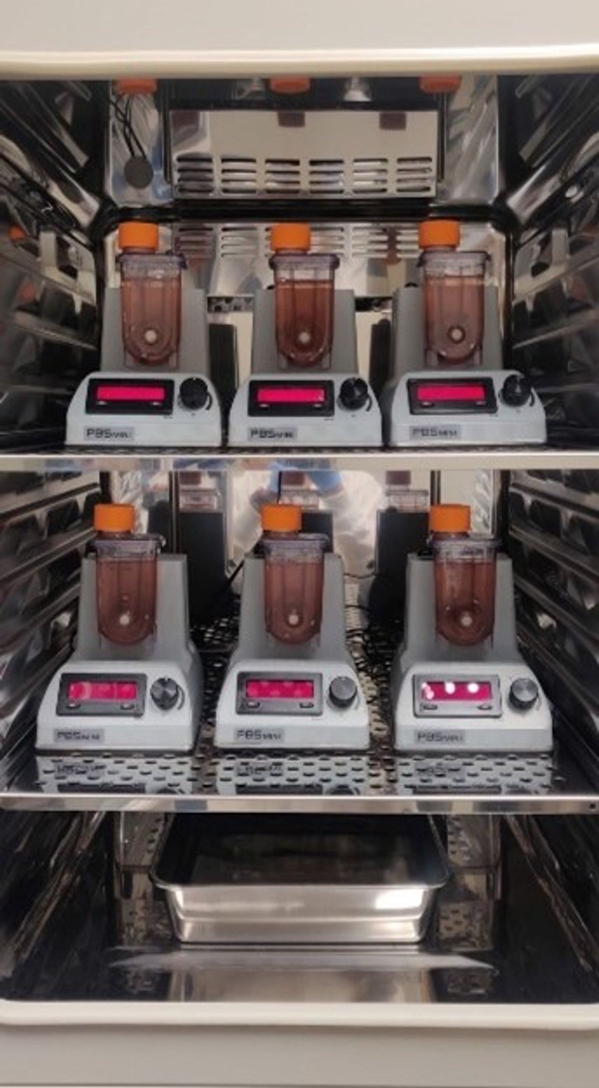 Bioreactors inside an incubator. Bioreactors inside an incubator.