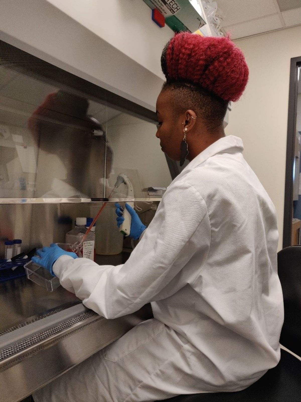 Priye Iworima culturing cells in a biosafety cabinet. Priye Iworima culturing cells in a biosafety cabinet.
