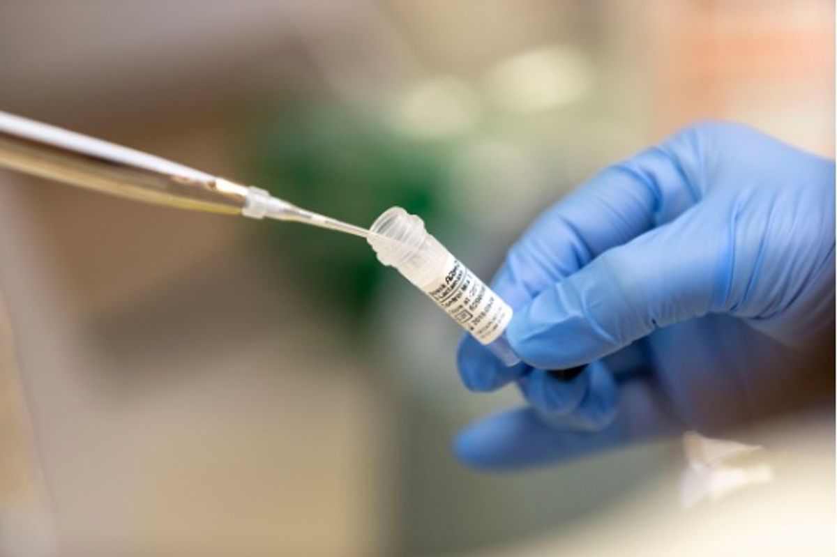 Conceptual image of a scientist pipetting liquid from a vial, showing a blue gloved hand on the right and a pipette tip on the left. Conceptual image of a scientist pipetting liquid from a vial, showing a blue gloved hand on the right and a pipette tip on the left.